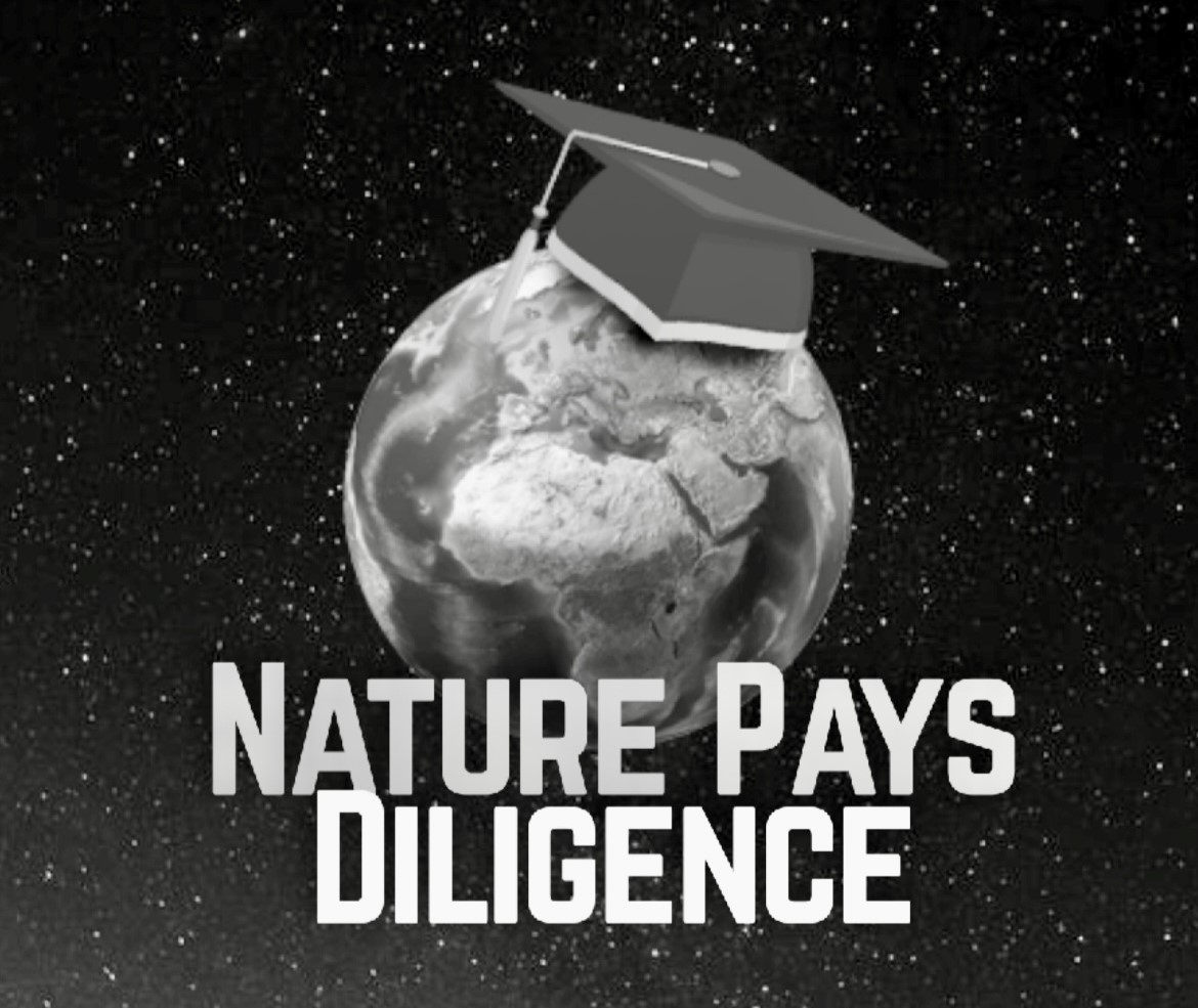 Cover of “Nature Pays Diligence: Reflections of Distinguished Scholars of the Lagos State University”